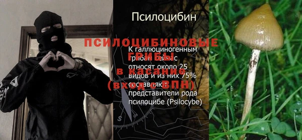 PSILOCYBIN Алексеевка