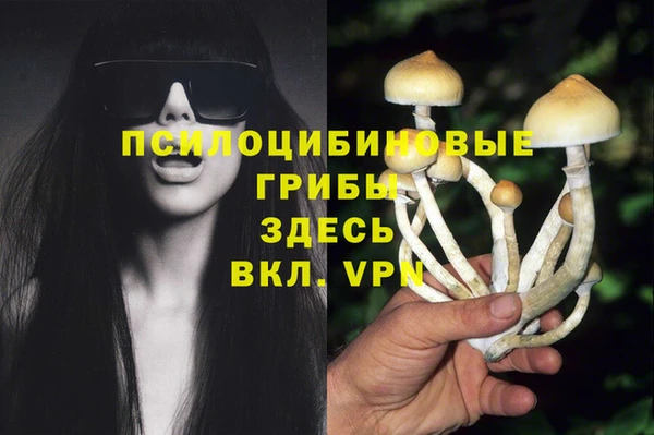 соль курить ск Няндома