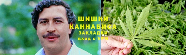 PSILOCYBIN Алексеевка